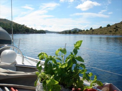 essen_gew.jpg (81.15 KiB) 6795 mal betrachtet essen_gew.jpg