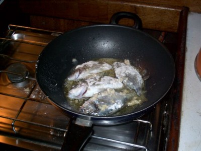 Chimera 2003 084.JPG (53.69 KiB) 9637 mal betrachtet Chimera 2003 084.JPG