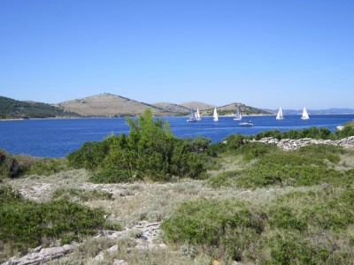 tn_IMG_0850.jpg