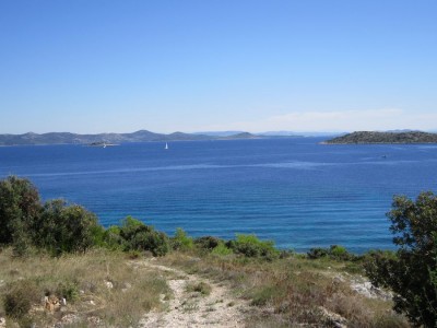 tn_IMG_0853.jpg