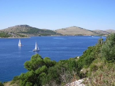 tn_IMG_0855.jpg