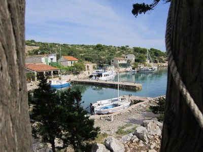 tn_IMG_0832.jpg