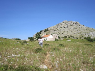 tn_IMG_0637.jpg