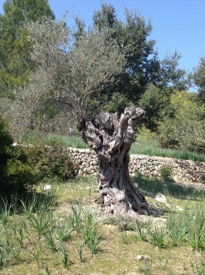 tn_3991.JPG (180.26 KiB) 9992 mal betrachtet tn_3991.JPG