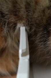 2014-04-12 06.41.53.png