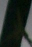 _20140415_203813.JPG