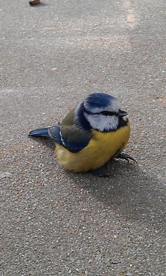 IMAG0439.jpg