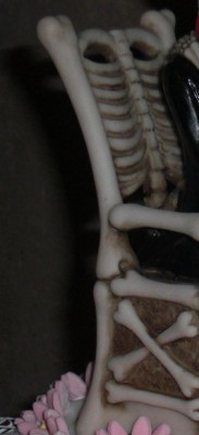 CIMG5907.jpg