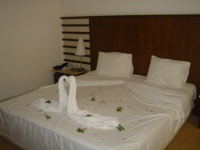 1.jpg (80.63 KiB) 10779 mal betrachtet 1.jpg