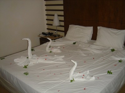 2.jpg (89.14 KiB) 10759 mal betrachtet 2.jpg