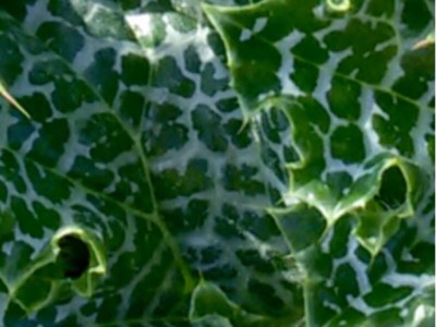 image.jpg (95.11 KiB) 11579 mal betrachtet image.jpg