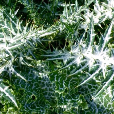 image.jpg (152.14 KiB) 11529 mal betrachtet image.jpg