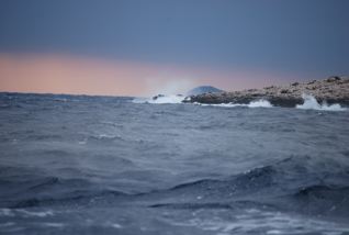 DSC_0347.jpg
