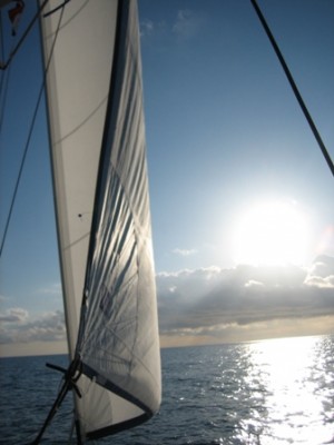 IMG_1836.JPG (57.51 KiB) 2630 mal betrachtet IMG_1836.JPG