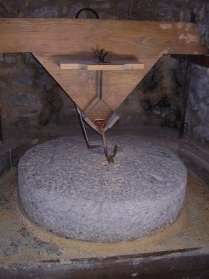 k-k-P1010235.JPG