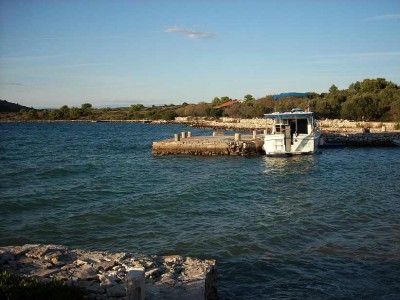 DSCI0223.JPG