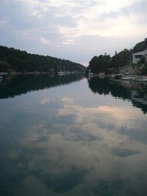 CIMG1201 (Medium).JPG
