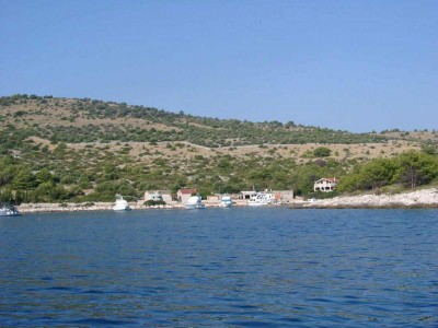 cro_.jpg