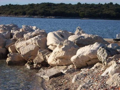 DSCI0424_1.jpg