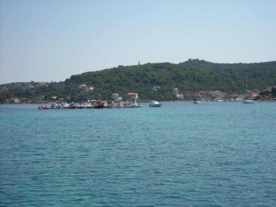 DSCI0565.JPG