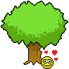 :lovetr: